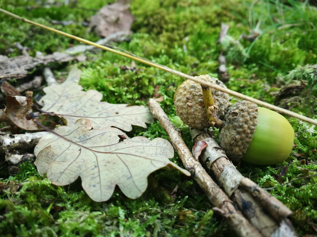 L’attribut alt de cette image est vide, son nom de fichier est 23-1024x768.jpg.